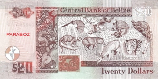 Belize 20 BZD arka yüz