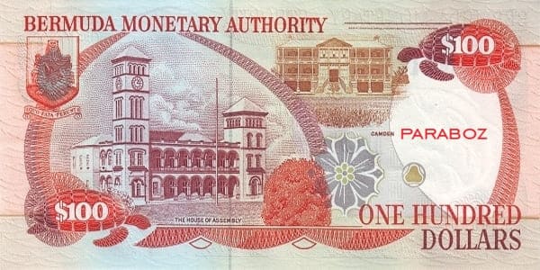 Bermuda 100 BMD arka yüz