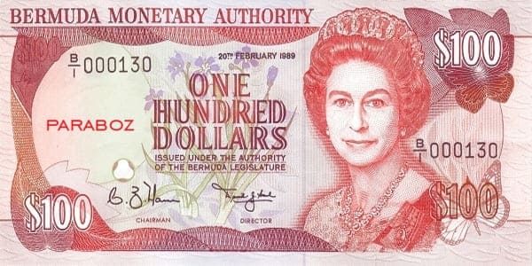 Bermuda 100 BMD ön yüz