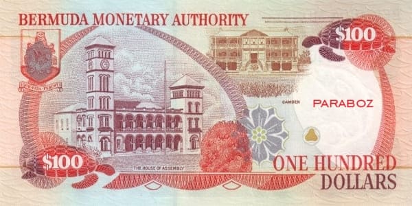 Bermuda 100 BMD arka yüz