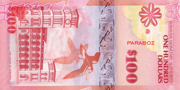 Bermuda 100 BMD arka yüz