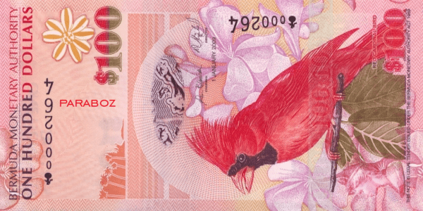 Bermuda 100 BMD ön yüz