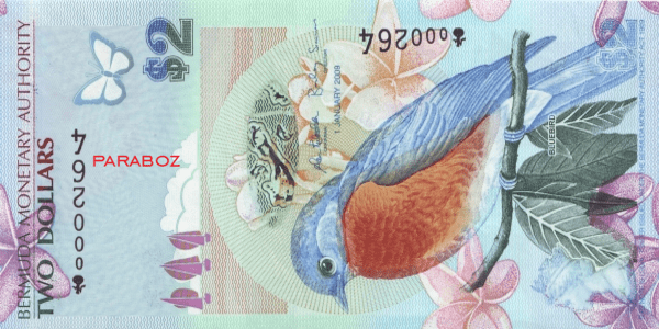 Bermuda 2 BMD ön yüz