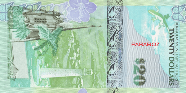 Bermuda 20 BMD arka yüz