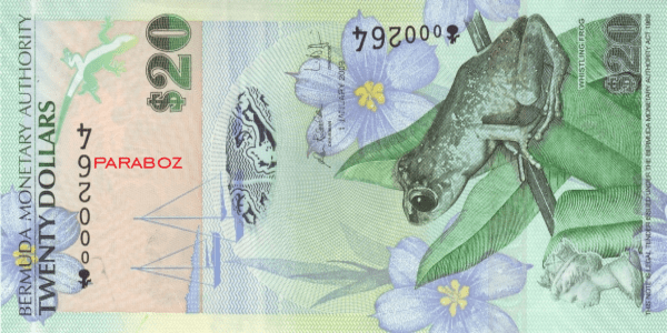 Bermuda 20 BMD ön yüz