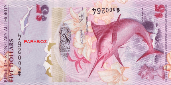 Bermuda 5 BMD ön yüz