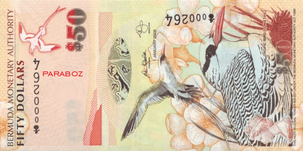 Bermuda 50 BMD ön yüz