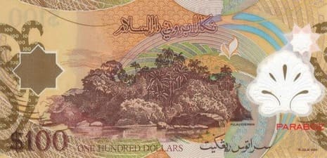 Brunei 100 BND arka yüz