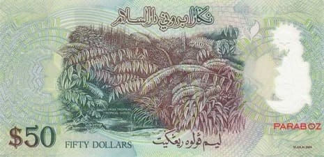 Brunei 50 BND arka yüz