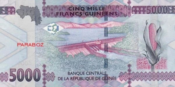 Gine 5.000 GNF arka yüz