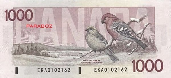 Kanada 1.000 CAD arka yüz