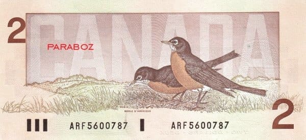 Kanada 2 CAD arka yüz