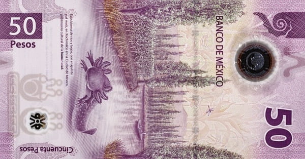 Meksika 50 MXN arka yüz