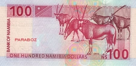 Namibya 100 NAD arka yüz