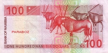Namibya 100 NAD arka yüz