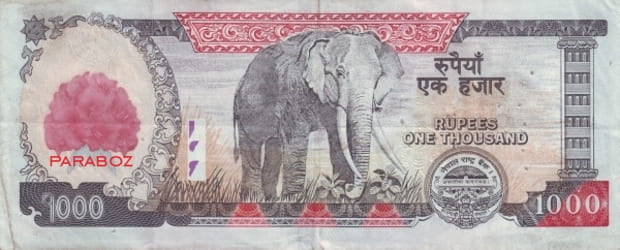 Nepal 1.000 NPR arka yüz