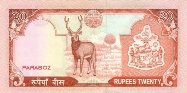 Nepal 20 NPR arka yüz