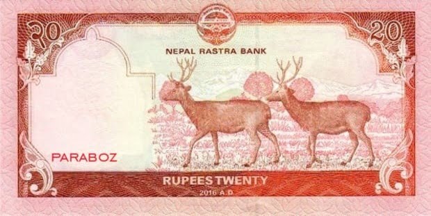 Nepal 20 NPR arka yüz