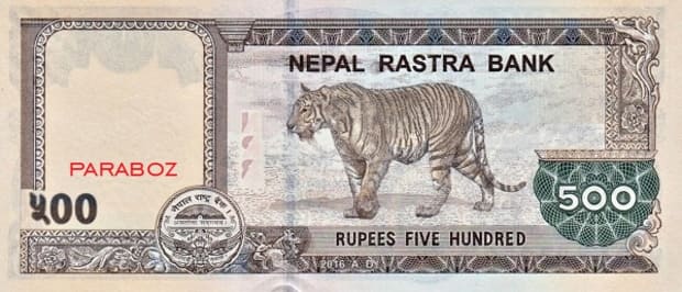 Nepal 500 NPR arka yüz