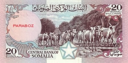 Somali 20 SOS ön yüz