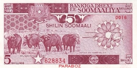 Somali 5 SOS ön yüz
