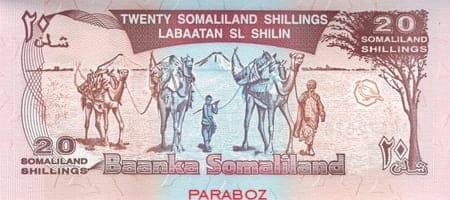 Somaliland 20 back