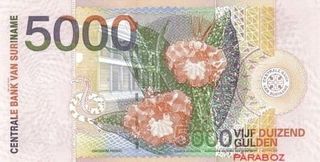 Surinam 5.000 SRD arka yüz