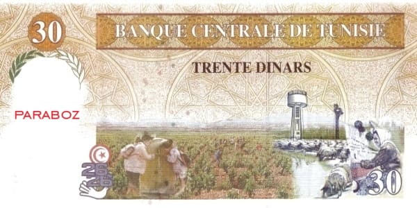 Tunus 30 TND arka yüz