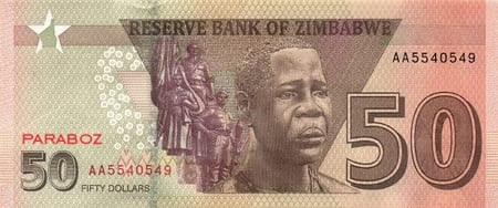 Zimbabwe 50 ZWB arka yüz