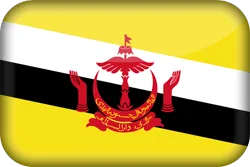 brunei-flag-3d-xs